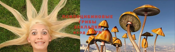 стаф Абинск