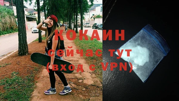 стаф Абинск