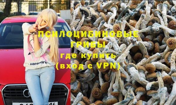 стаф Абаза