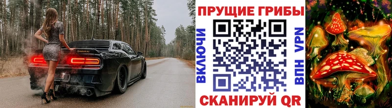 mega как войти  Тетюши  Галлюциногенные грибы Psilocybine cubensis 